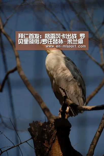 拜仁首发:格雷茨卡出战 罗贝里领衔J罗任替补-米兰俱乐部(图4) 米兰俱乐部