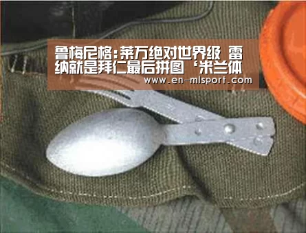 鲁梅尼格:莱万绝对世界级 雷纳就是拜仁最后拼图‘米兰体育在线’(图2) 米兰俱乐部
