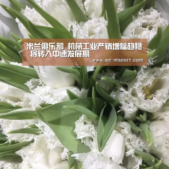 米兰俱乐部_机械工业产销增幅趋稳 将转入中速发展期(图1) 米兰体育在线