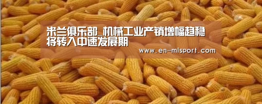 米兰俱乐部_机械工业产销增幅趋稳 将转入中速发展期(图3) 米兰俱乐部