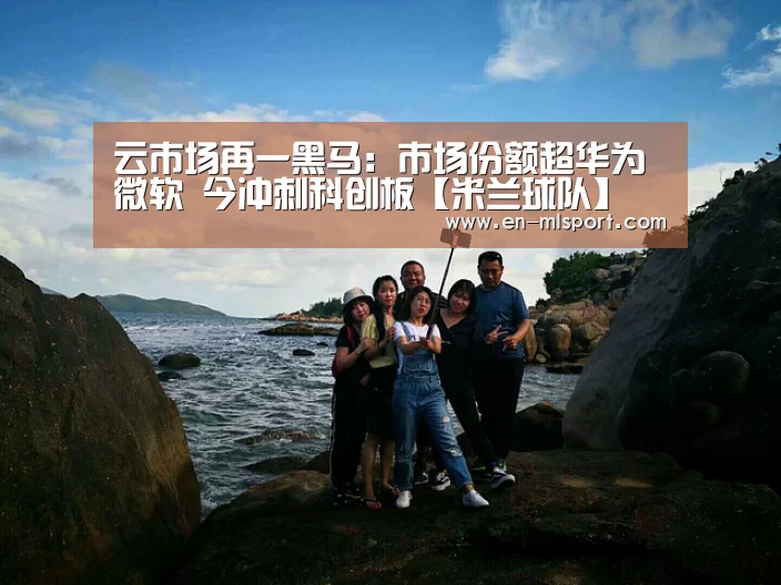 云市场再一黑马:市场份额超华为微软 今冲刺科创板【米兰球队】(图3) 米兰球队