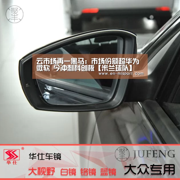 云市场再一黑马:市场份额超华为微软 今冲刺科创板【米兰球队】(图4) 米兰体育新闻