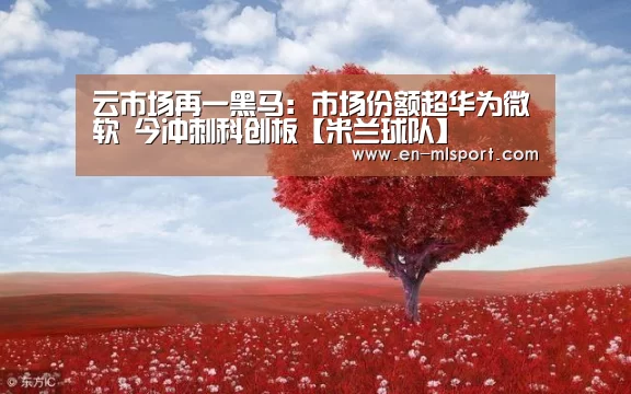 云市场再一黑马:市场份额超华为微软 今冲刺科创板【米兰球队】(图1) 米兰俱乐部