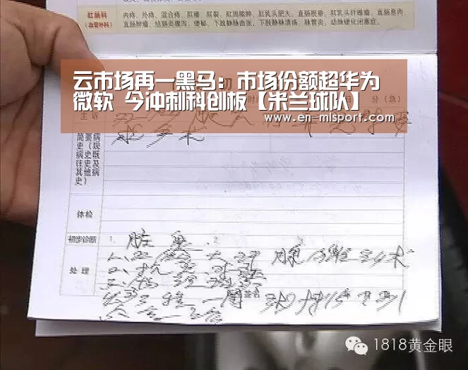 云市场再一黑马:市场份额超华为微软 今冲刺科创板【米兰球队】(图2) 米兰体育新闻