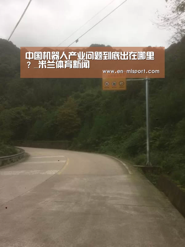 中国机器人产业问题到底出在哪里?_米兰体育新闻(图2) 米兰体育新闻