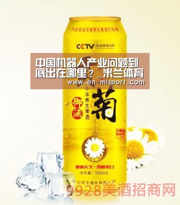 中国机器人产业问题到底出在哪里?_米兰体育新闻(图3) 米兰球队