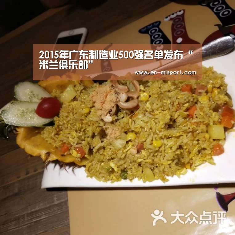 2015年广东制造业500强名单发布“米兰俱乐部”(图3) 米兰体育在线