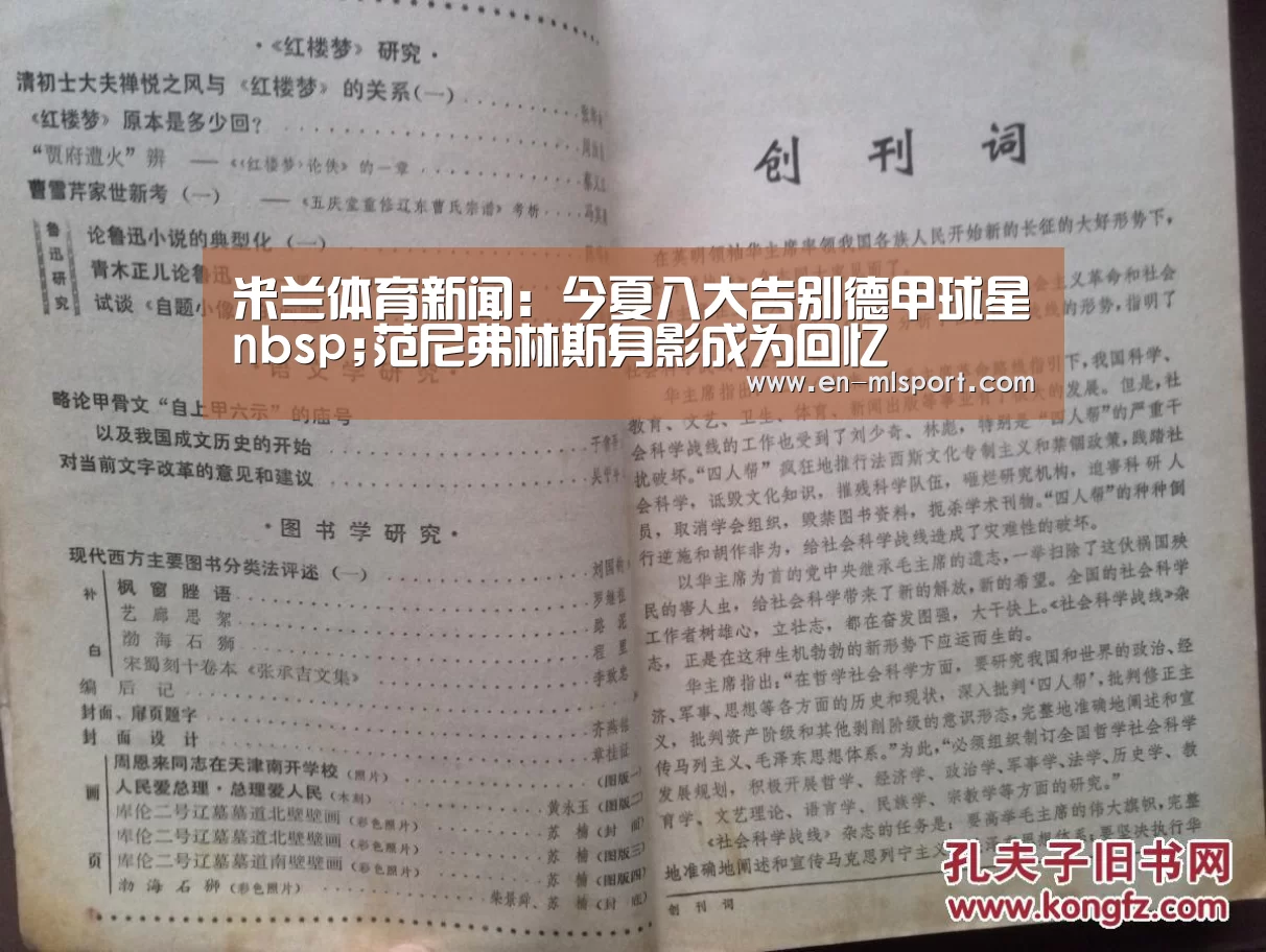 米兰体育新闻:今夏八大告别德甲球星nbsp;范尼弗林斯身影成为回忆(图1) 米兰体育在线