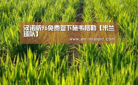 汉诺威96免费签下施韦格勒【米兰球队】(图2) 米兰体育在线